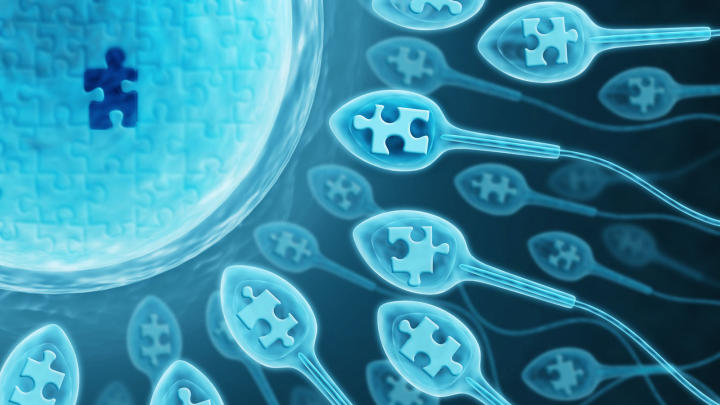 Fertility (Steroid Hormone)